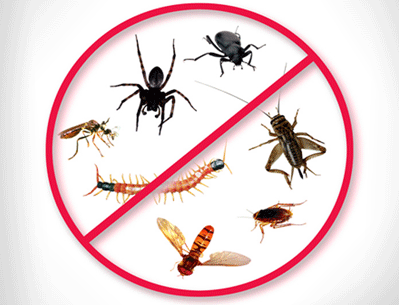  уничтожение тараканов в Балашихе